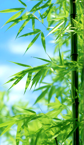 猜您喜欢左侧广告图